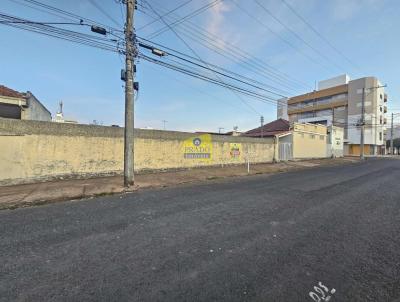 imagem-miniatura