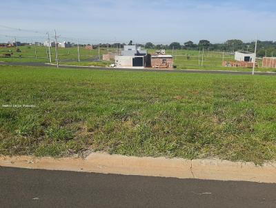 Terreno para Venda, em Presidente Prudente, bairro Residencial Parque dos Buritis