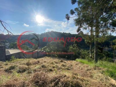 Terreno para Venda, em Mairiporã, bairro Jardim Samambaia