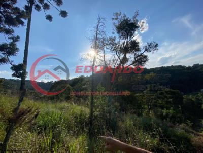 Terreno para Venda, em Mairiporã, bairro Jardim Samambaia