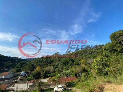 Terreno para Venda, em Mairipor, bairro Jardim Samambaia