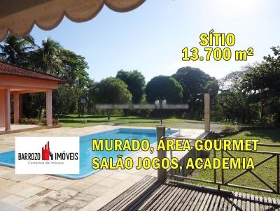 imagem-miniatura