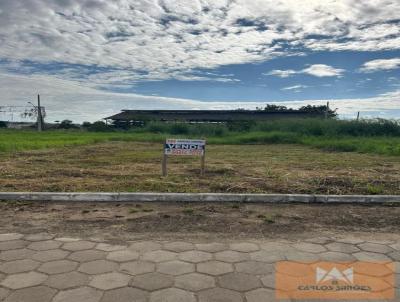 Lote para Venda, em Nova Vencia, bairro Flora Park 2