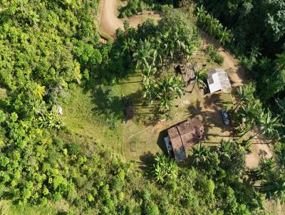 Sítio para Venda, em Rodeio, bairro Diamantina (Pico)