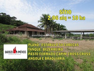 imagem-miniatura