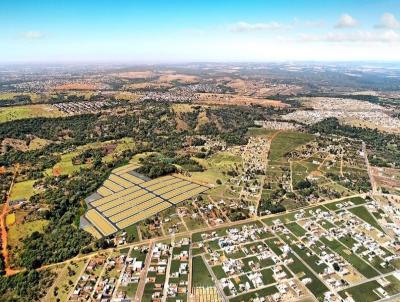 Lote para Venda, em Abadia de Gois, bairro Loteamento Goinia Sul