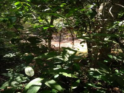 Chcara para Venda, em Aragoinia, bairro Setor Central