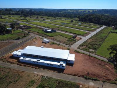 Lote para Venda, em Abadia de Gois, bairro Residencial Villar Santana