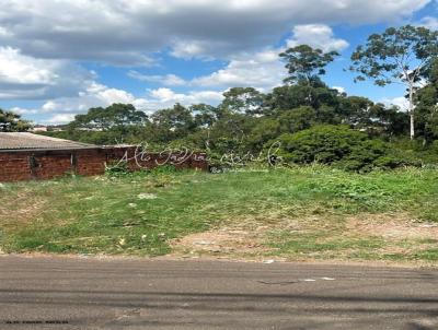Terreno para Venda, em Marlia, bairro Jardim Marambaia