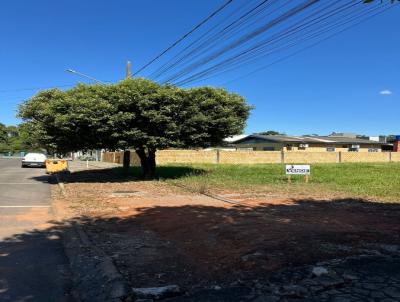 Lote para Venda, em Lucas do Rio Verde, bairro CENTRO