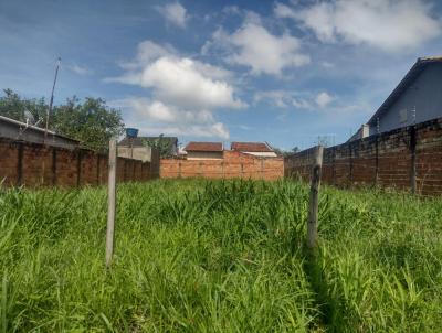 Lote para Venda, em Aparecida de Goinia, bairro Jardim Veneza