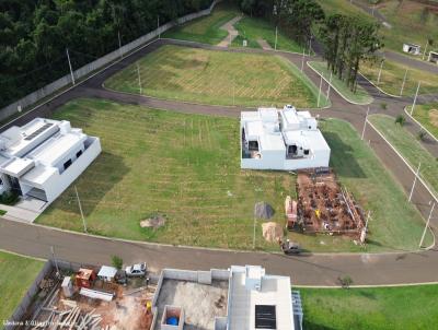 Terreno para Venda, em Santo Antnio da Platina, bairro Residencial Maria Thereza Renn