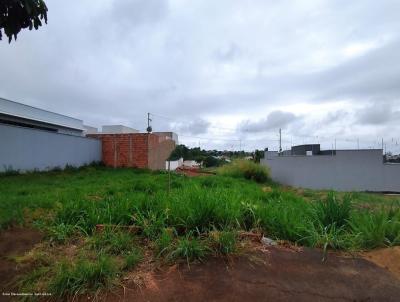 imagem-miniatura