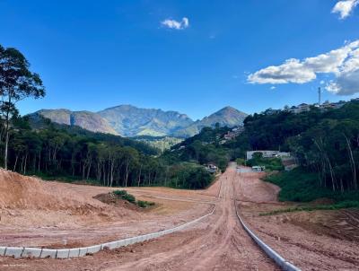 Terreno para Venda, em , bairro Braunes