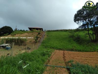 Terreno para Venda, em Ibina, bairro Centro