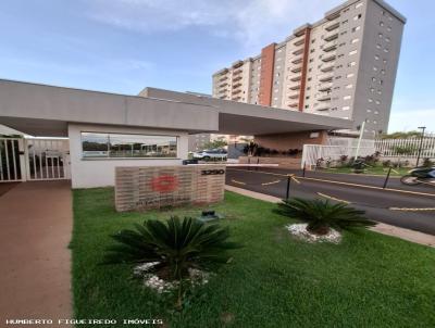imagem-miniatura