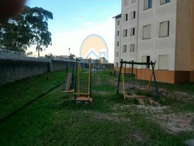 imagem-miniatura