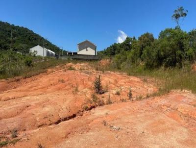 Terreno para Venda, em So Jos, bairro Serto do Maruim