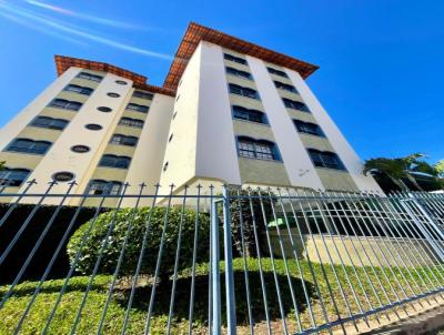 Apartamento para Locao, em Belo Horizonte, bairro Sagrada Famlia, 3 dormitrios, 1 banheiro, 1 vaga