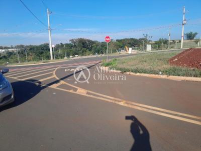 Terreno para Venda, em , bairro Colinas do Engenho