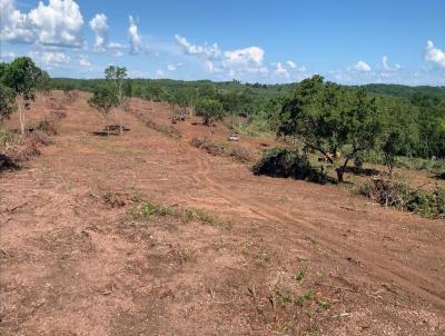Fazenda para Venda, em Miranda, bairro Rural