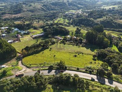 Chcara para Venda, em Guarapuava, bairro Rural