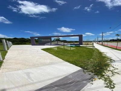 Terreno para Venda, em Florianópolis, bairro Vargem Pequena