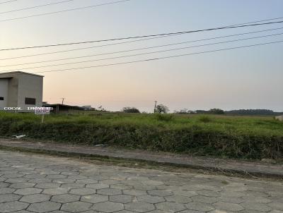 Lote para Venda, em Cocal do Sul, bairro Vila Nova