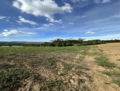 Sítio para Venda, em Cocal do Sul, bairro Linha Tigre