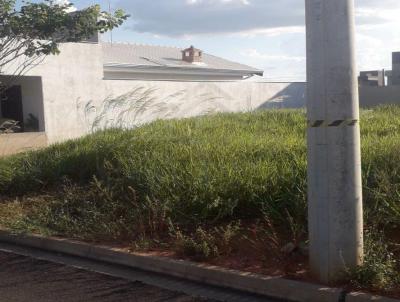 Terreno para Venda, em Araatuba, bairro Petit-Trianon