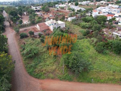 imagem-miniatura