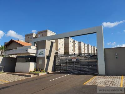 imagem-miniatura