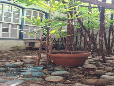 imagem-miniatura