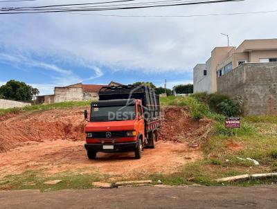 imagem-miniatura