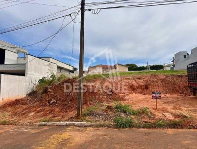 imagem-miniatura
