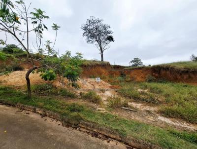 Terreno para Venda, em Juiz de Fora, bairro Sagrado Corao de Jesus