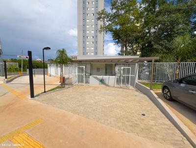 imagem-miniatura
