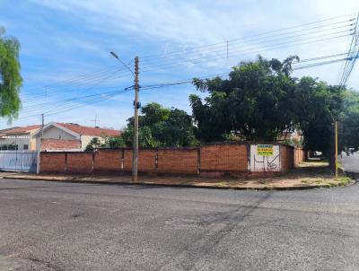 Terreno para Venda, em , bairro Vila Rica