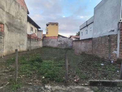 imagem-miniatura