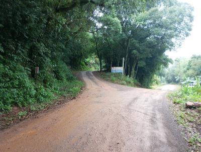 Stio para Venda, em Carlos Barbosa, bairro SANTA LUIZA
