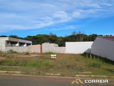 imagem-miniatura