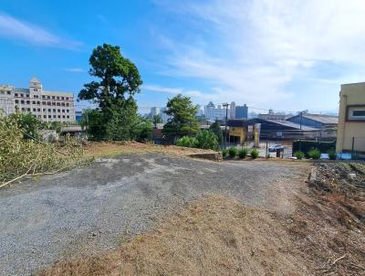 Terreno para Venda, em Joinville, bairro Boa Vista