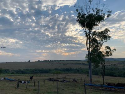 Fazenda para Venda, em Ribeirão Bonito, bairro Área rural