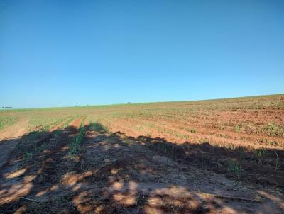 Fazenda para Venda, em Araraquara, bairro Área Rural de Araraquara