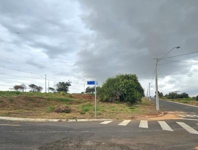 imagem-miniatura