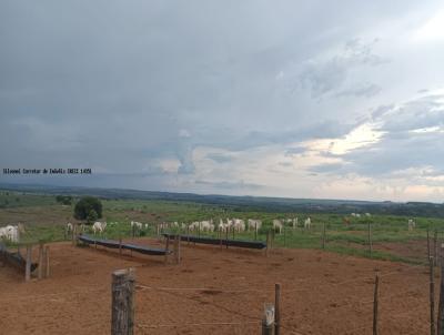 Fazenda para Venda, em São Gabriel do Oeste, bairro Zona Rural, 2 dormitórios, 2 banheiros