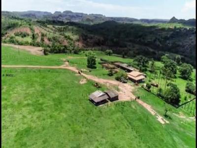Fazenda para Venda, em Pedra Preta, bairro Rondonópolis