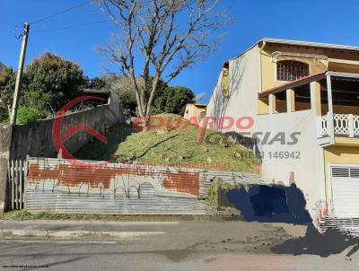 imagem-miniatura