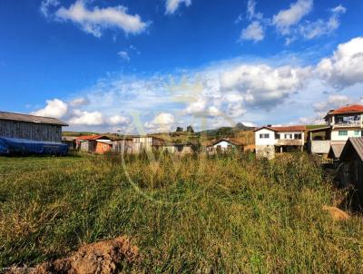 Lote para Venda, em Bom Retiro, bairro CAPISTRANO