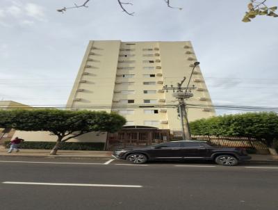 imagem-miniatura